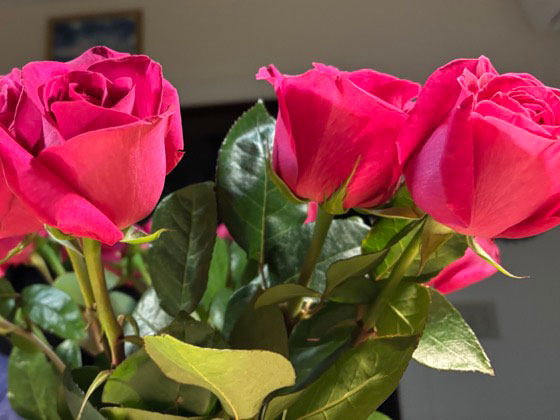 Flower Committee