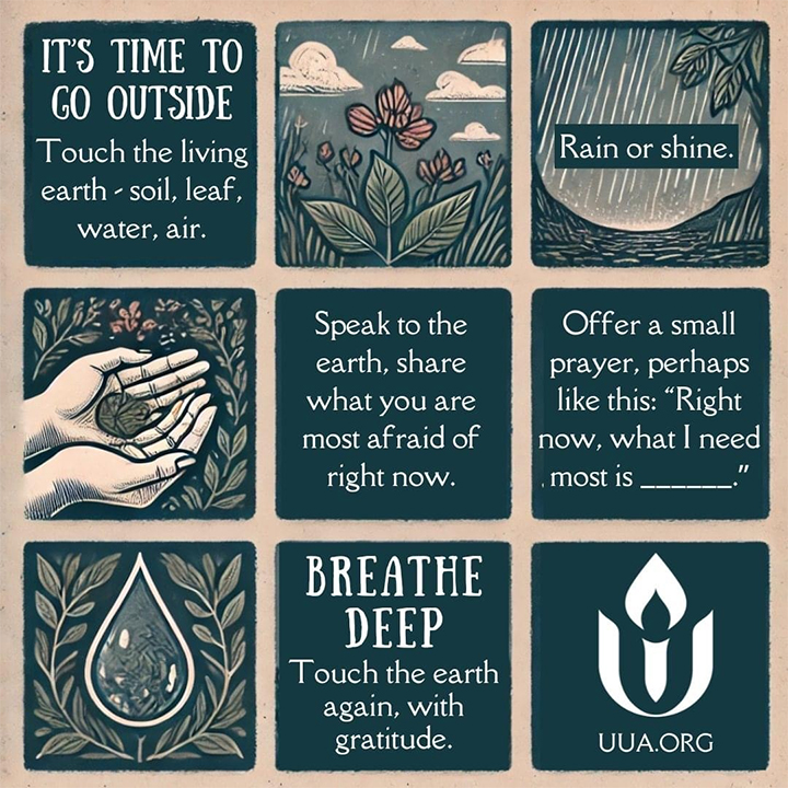 nature restores